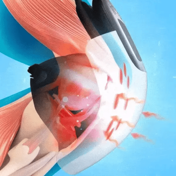 Knee Relaxation Massager